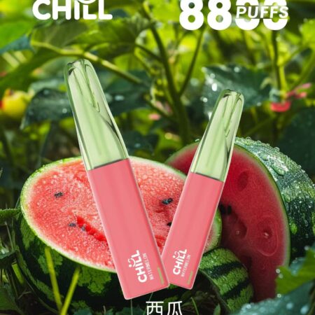 始祖鳥CHILL 8800口隨身小煙|高口數輸出×輕盈機身不用充電不用註油 鴨嘴獸CHILL 8800口
