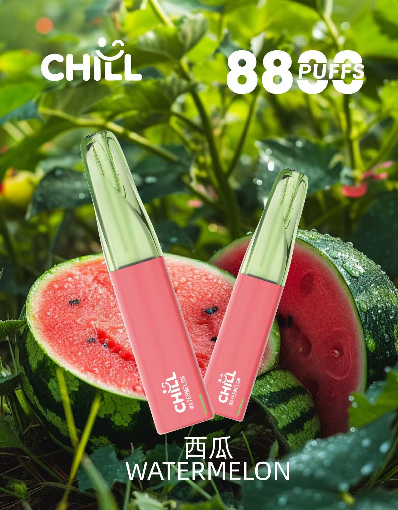 始祖鳥CHILL 8800口隨身小煙|高口數輸出×輕盈機身不用充電不用註油 鴨嘴獸CHILL 8800口