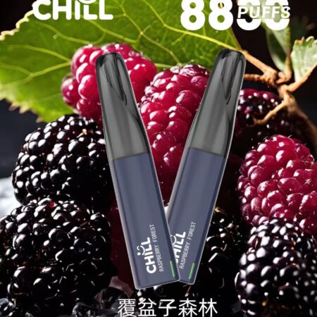 始祖鳥CHILL 8800口隨身小煙|高口數輸出×輕盈機身不用充電不用註油 鴨嘴獸CHILL 8800口