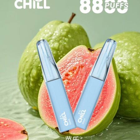 始祖鳥CHILL 8800口隨身小煙|高口數輸出×輕盈機身不用充電不用註油 鴨嘴獸CHILL 8800口