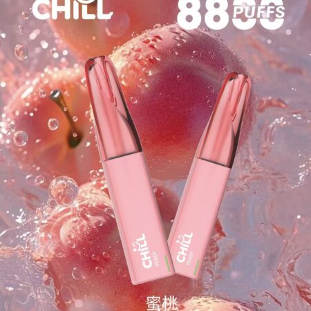 始祖鳥CHILL 8800口隨身小煙|高口數輸出×輕盈機身不用充電不用註油 鴨嘴獸CHILL 8800口
